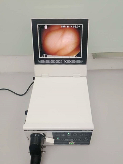 EVET3000 系列动物内窥镜